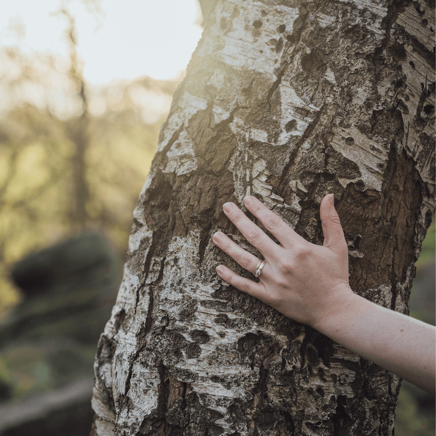 Framed print showing 'Should Would Could Did'