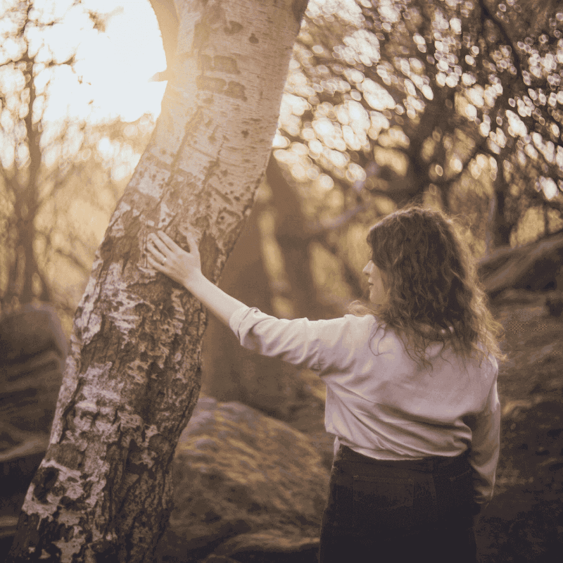 Moira Fuller, Business Strategist in the UK, standing in woodland with hand on tree at sunset