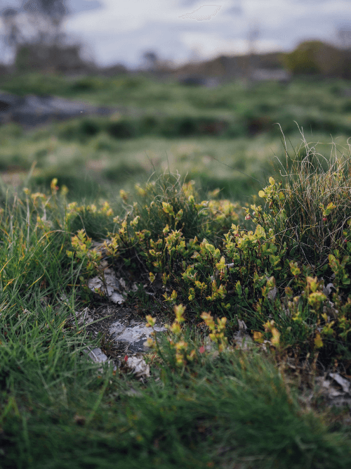 woman writing in a notebook wearing a soft pink jumper